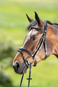 HFI Technical Hoofdstel Trenshoofdstellen - Maddelin Equestrian HFI