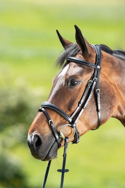 HFI Technical Hoofdstel Trenshoofdstellen - Maddelin Equestrian HFI