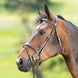 HFI Technical Hoofdstel Trenshoofdstellen - Maddelin Equestrian HFI