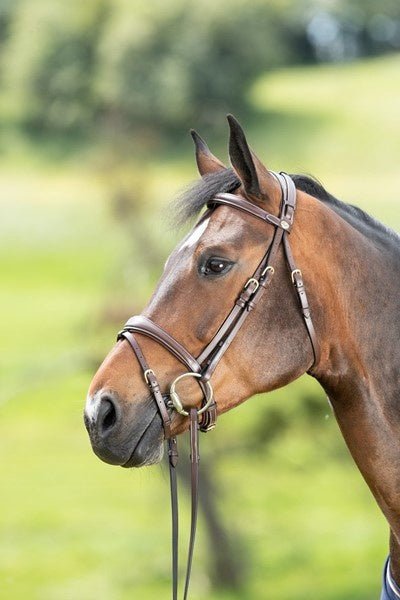 HFI Technical Hoofdstel Trenshoofdstellen - Maddelin Equestrian HFI