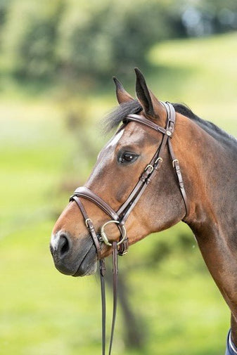 HFI Technical Hoofdstel Trenshoofdstellen - Maddelin Equestrian HFI