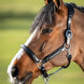HFI Wave Halster Lederen - Maddelin Equestrian HFI