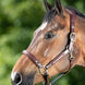 HFI Wave Halster Lederen - Maddelin Equestrian HFI
