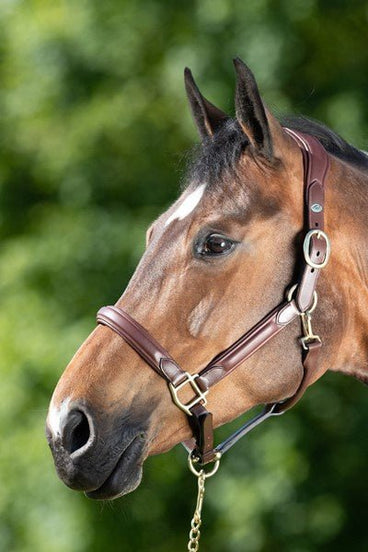 HFI Wave Halster Lederen - Maddelin Equestrian HFI