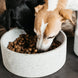 Hondenbak Graniet L Dogwear - Maddelin Equestrian Kentucky