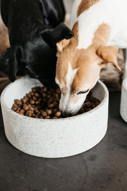 Hondenbak Graniet L Dogwear - Maddelin Equestrian Kentucky