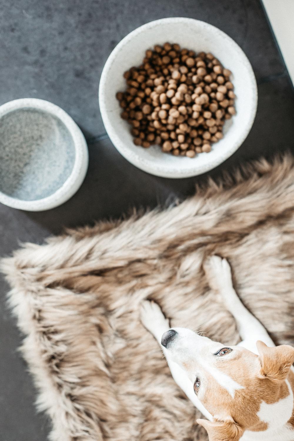 Hondenbak Graniet L Dogwear - Maddelin Equestrian Kentucky