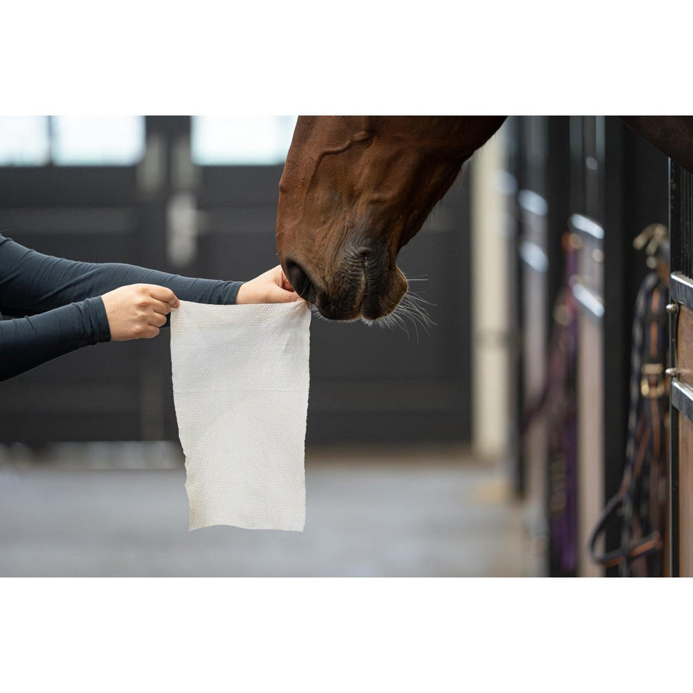 Horse Wipes Natural Clean 30 XXL wipes Verzorgingsproducten - Maddelin Equestrian HB