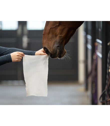 Horse Wipes Natural Clean 30 XXL wipes Verzorgingsproducten - Maddelin Equestrian HB