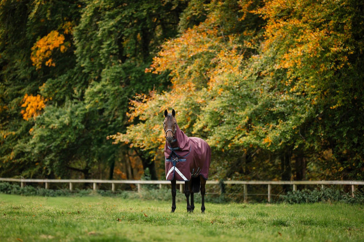 Horseware Amigo 1200D Plus Turnout Deken Outdoordeken - Maddelin Equestrian