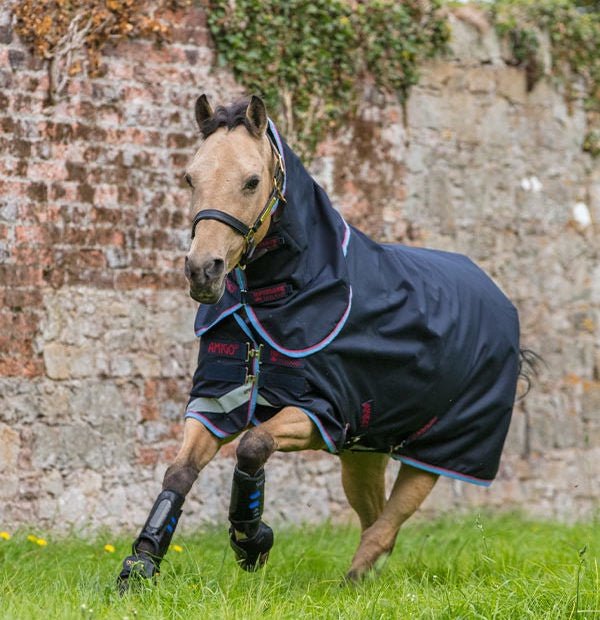 Horseware Amigo Bravo 12 Plus Pony Deken Outdoordeken - Maddelin Equestrian HorseWare