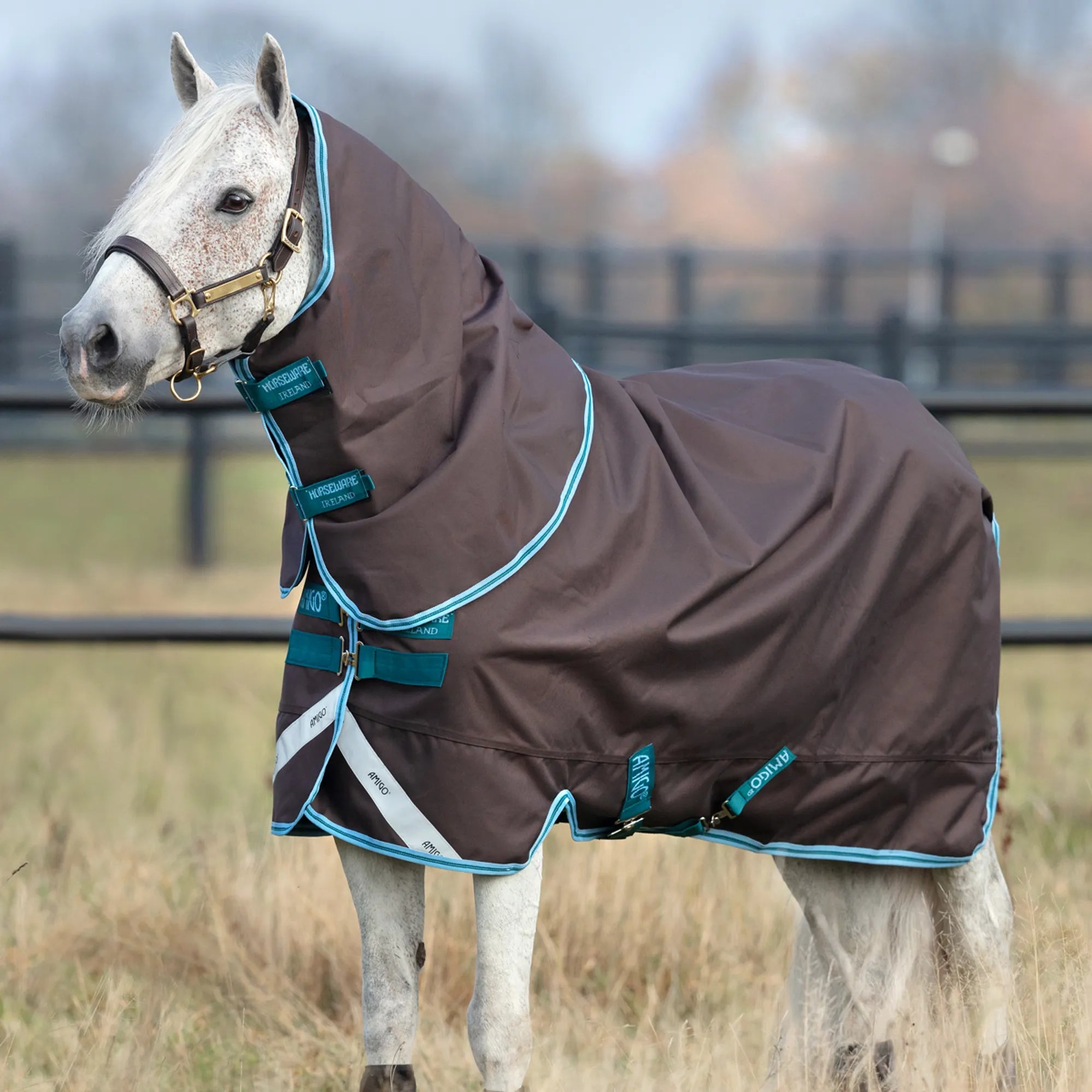 Horseware Amigo Bravo 12 Plus Pony Deken Outdoordeken - Maddelin Equestrian HorseWare