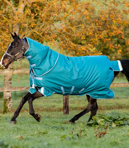 Horseware Amigo Bravo 12 Plus Turnout Outdoordeken - Maddelin Equestrian HorseWare