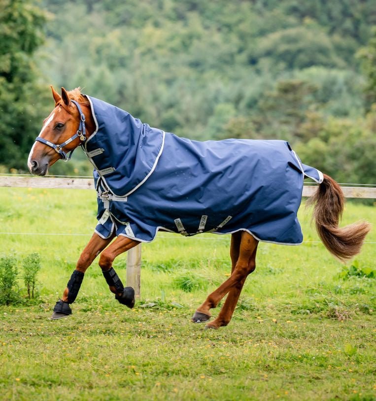 Horseware Amigo Bravo 12 Plus Turnout Outdoordeken - Maddelin Equestrian HorseWare