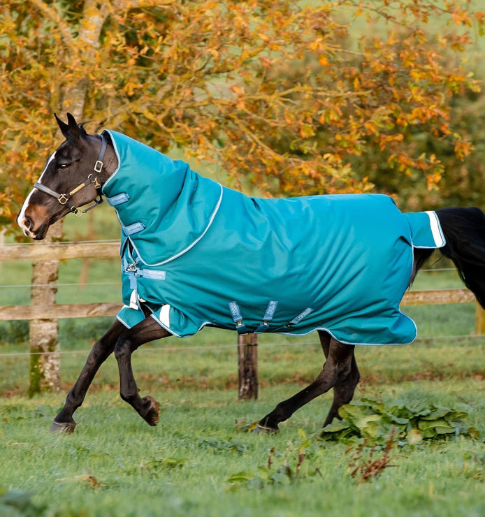 Horseware Amigo Bravo 12 Plus Turnout Outdoordeken - Maddelin Equestrian HorseWare