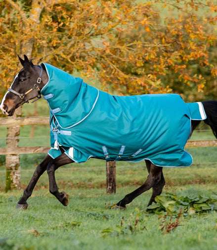 Horseware Amigo Bravo 12 Plus Turnout Outdoordeken - Maddelin Equestrian HorseWare