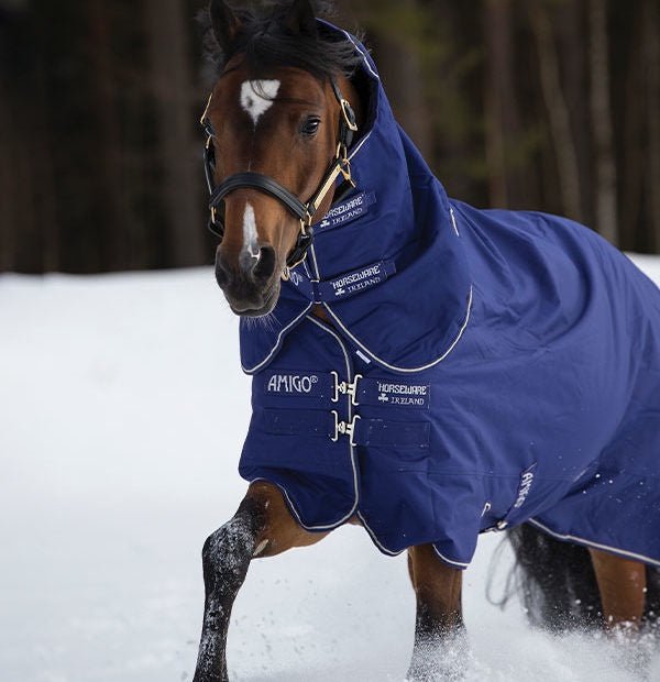 Horseware Amigo Hero 900 Plus Outdoordeken - Maddelin Equestrian HorseWare