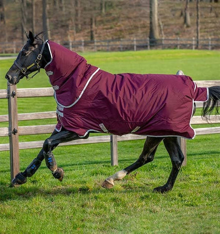 Horseware Amigo Hero Ripstop Plus Outdoordeken - Maddelin Equestrian HorseWare