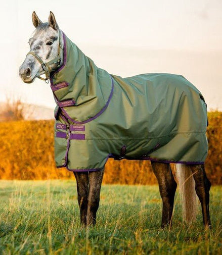 Horseware Amigo Hero Ripstop Plus Turnout 100g Light Outdoordeken - Maddelin Equestrian HorseWare