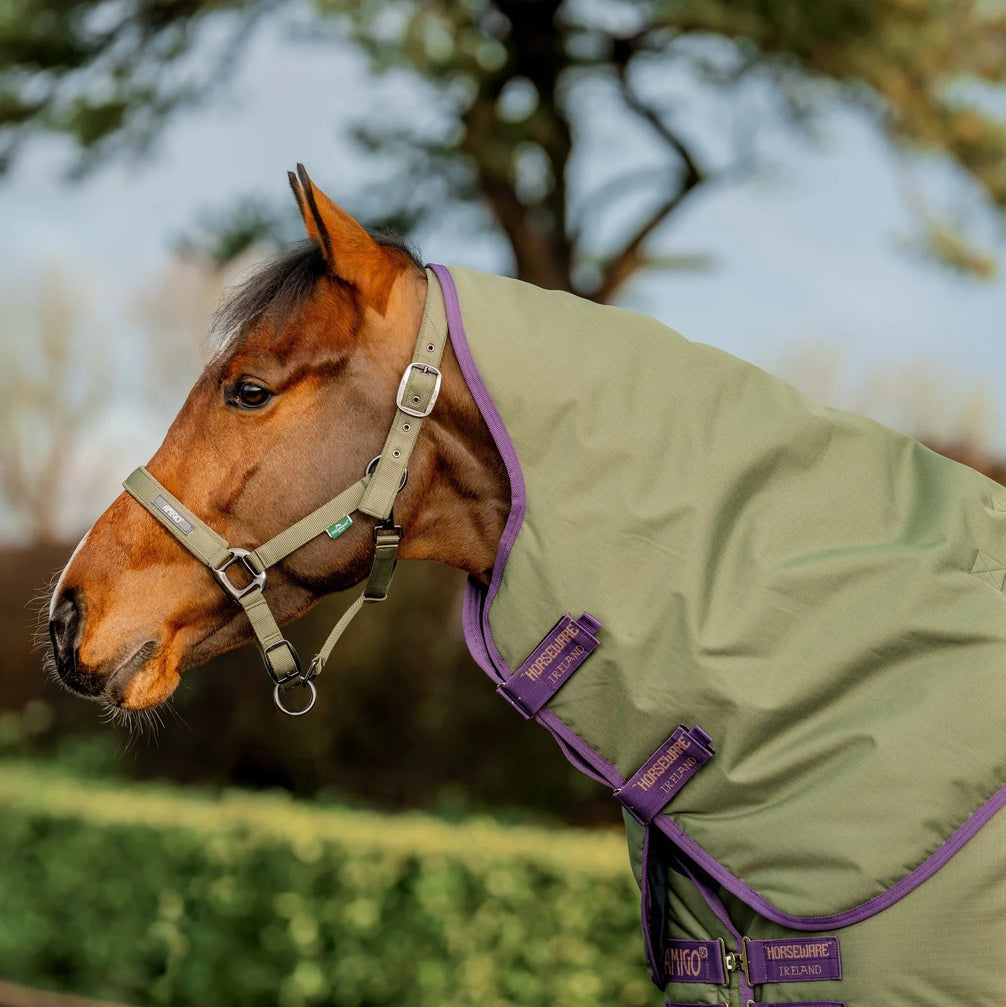 Horseware Amigo Hero Ripstop Plus Turnout 200g Medium Outdoordeken - Maddelin Equestrian HorseWare