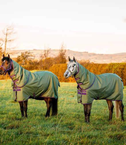 Horseware Amigo Hero Ripstop Plus Turnout 200g Medium Outdoordeken - Maddelin Equestrian HorseWare