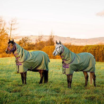 Horseware Amigo Hero Ripstop Plus Turnout 200g Medium Outdoordeken - Maddelin Equestrian HorseWare