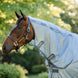 Horseware Amigo Integrated Vliegendeken Vliegendekens - Maddelin Equestrian HorseWare
