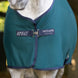 Horseware Amigo Jersey Cooler Zweetdekens - Maddelin Equestrian HorseWare