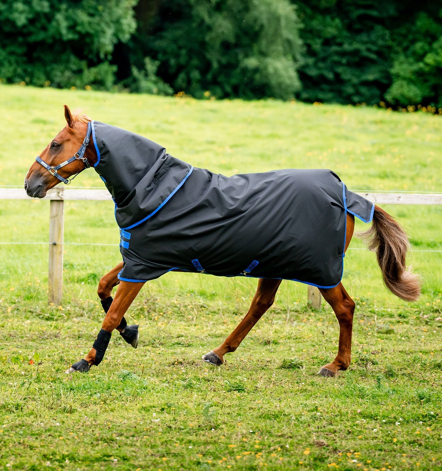 HorseWare Amigo Ripstop 900D Plus Outdoordeken - Maddelin Equestrian