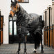 Horseware Easy - Layer Stable Plus Staldeken - Maddelin Equestrian HorseWare
