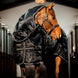 Horseware Easy - Layer Stable Plus Staldeken - Maddelin Equestrian HorseWare