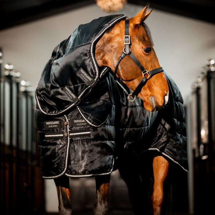 Horseware Easy - Layer Stable Plus Staldeken - Maddelin Equestrian HorseWare