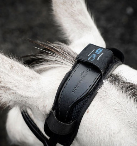 Horseware Ionic Therapy Poll Cover Toebehoren hoofdstellen - Maddelin Equestrian HorseWare