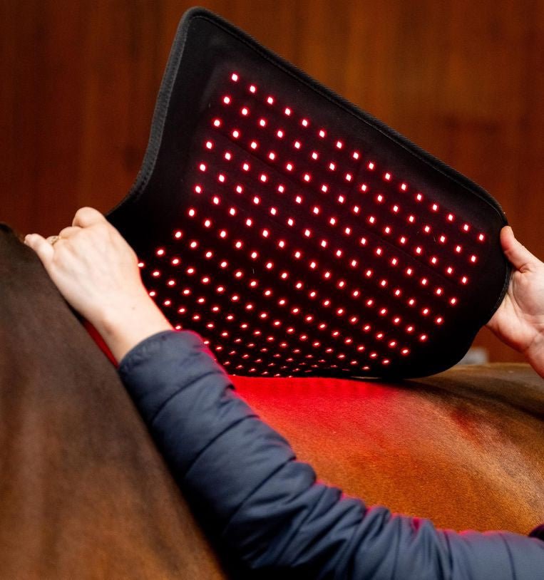 HorseWare Led Red Light Therapy Pad Transport, therapeutisch en stalbeschermers - Maddelin Equestrian HorseWare
