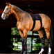 HorseWare Led Red Light Therapy Pad Transport, therapeutisch en stalbeschermers - Maddelin Equestrian HorseWare