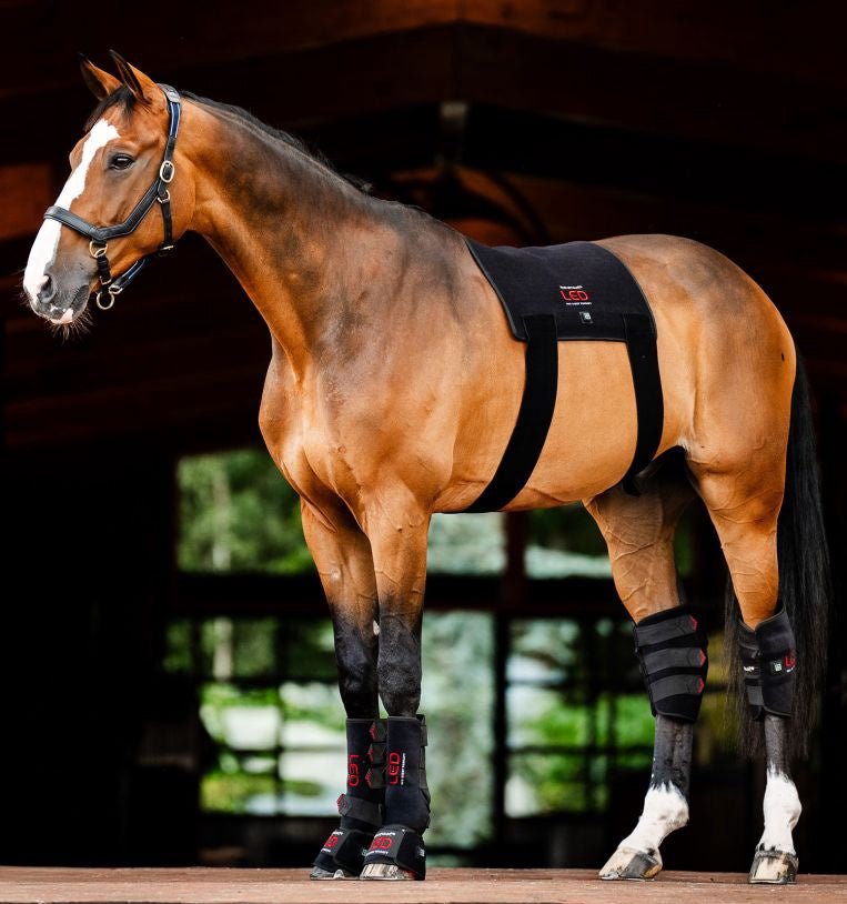 HorseWare Led Red Light Therapy Pad Transport, therapeutisch en stalbeschermers - Maddelin Equestrian HorseWare