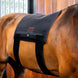 HorseWare Led Red Light Therapy Pad Transport, therapeutisch en stalbeschermers - Maddelin Equestrian HorseWare
