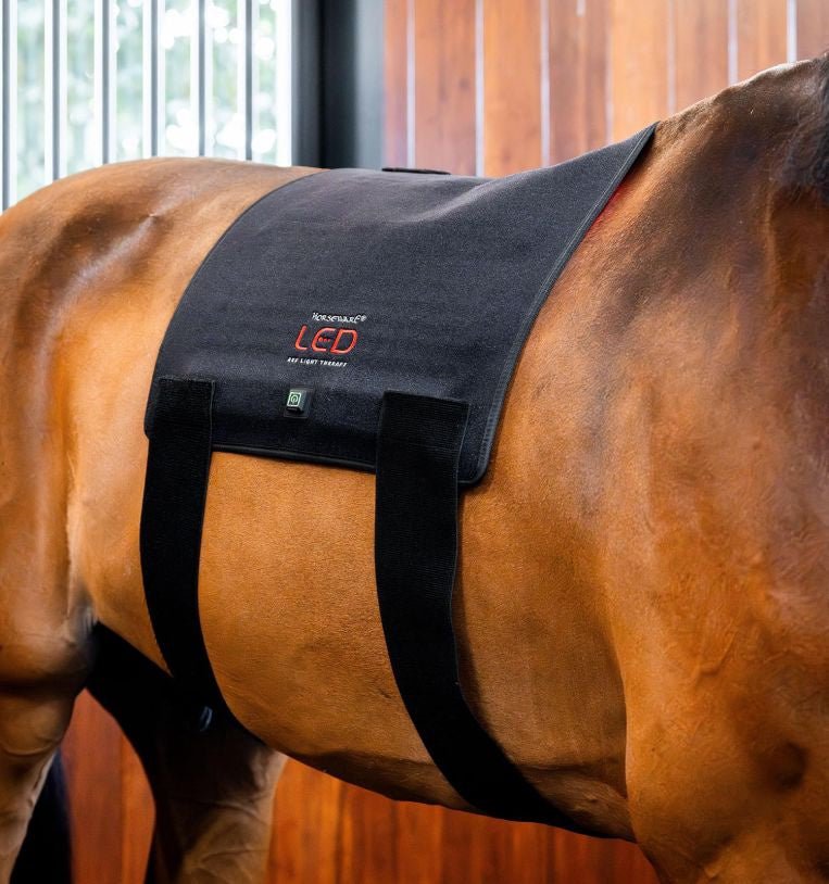 HorseWare Led Red Light Therapy Pad Transport, therapeutisch en stalbeschermers - Maddelin Equestrian HorseWare