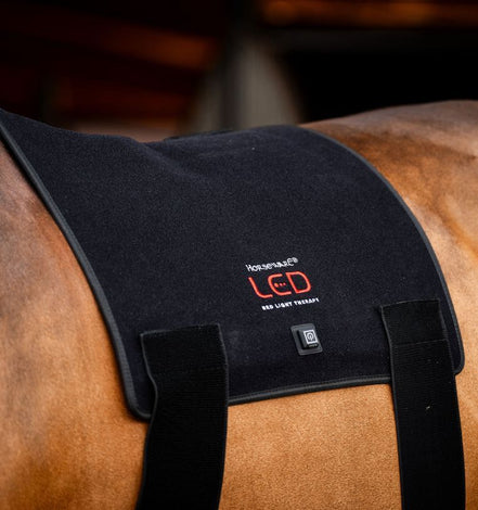 HorseWare Led Red Light Therapy Pad Transport, therapeutisch en stalbeschermers - Maddelin Equestrian HorseWare
