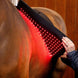 HorseWare Led Red Light Therapy Pad Transport, therapeutisch en stalbeschermers - Maddelin Equestrian HorseWare