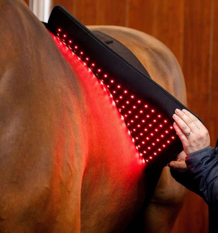 HorseWare Led Red Light Therapy Pad Transport, therapeutisch en stalbeschermers - Maddelin Equestrian HorseWare