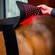 HorseWare Led Red Light Therapy Pad Transport, therapeutisch en stalbeschermers - Maddelin Equestrian HorseWare