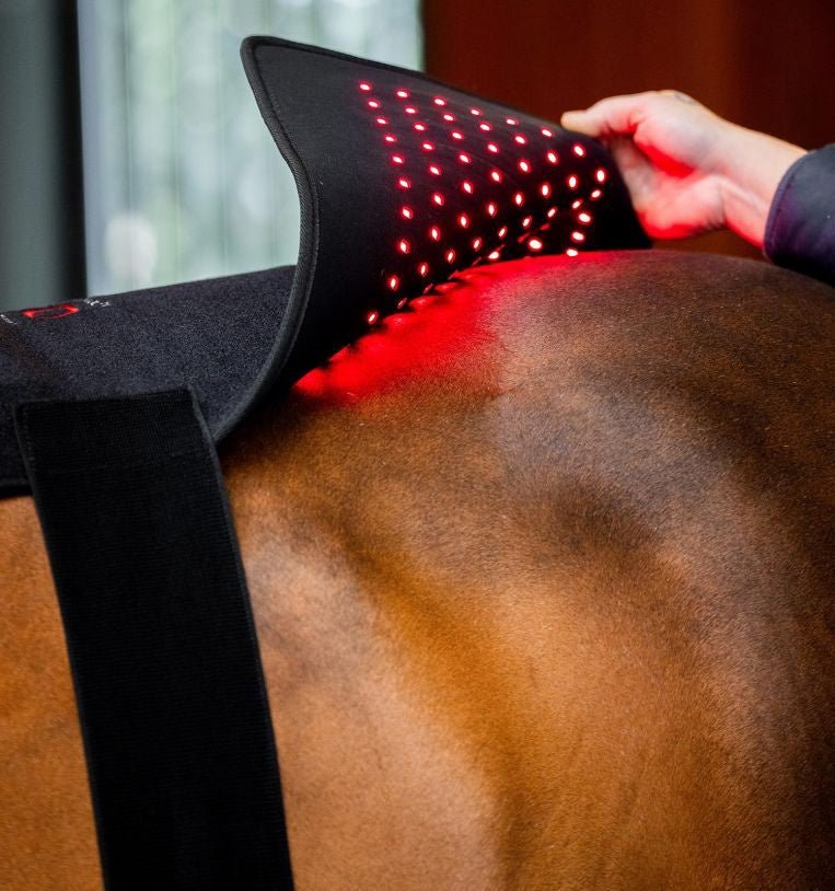 HorseWare Led Red Light Therapy Pad Transport, therapeutisch en stalbeschermers - Maddelin Equestrian HorseWare