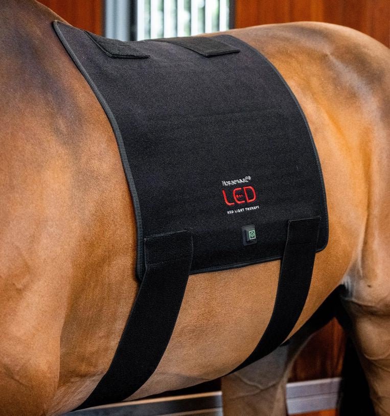 HorseWare Led Red Light Therapy Pad Transport, therapeutisch en stalbeschermers - Maddelin Equestrian HorseWare