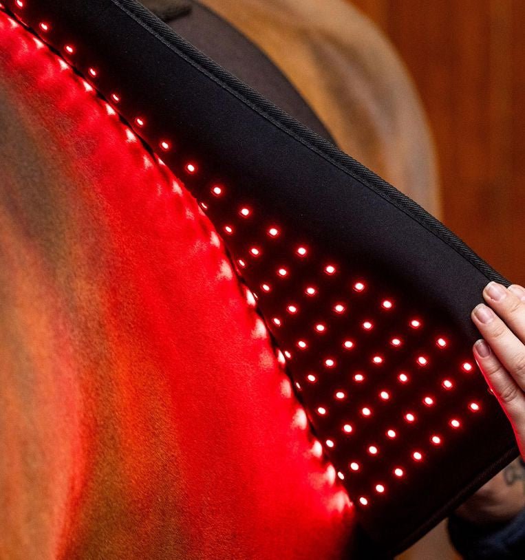 HorseWare Led Red Light Therapy Pad Transport, therapeutisch en stalbeschermers - Maddelin Equestrian HorseWare