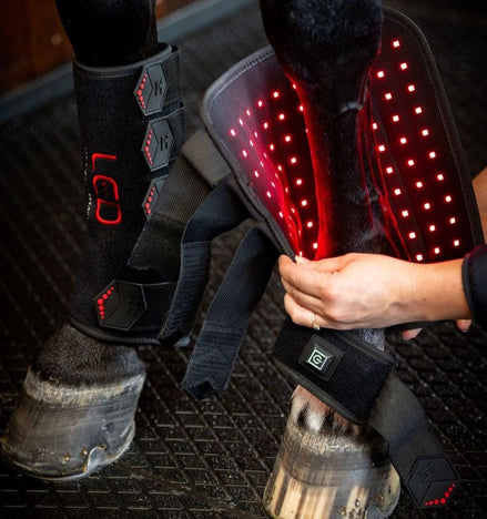 Horseware LED roodlicht therapie Beenbeschermers 1 been Transport, therapeutisch en stalbeschermers - Maddelin Equestrian