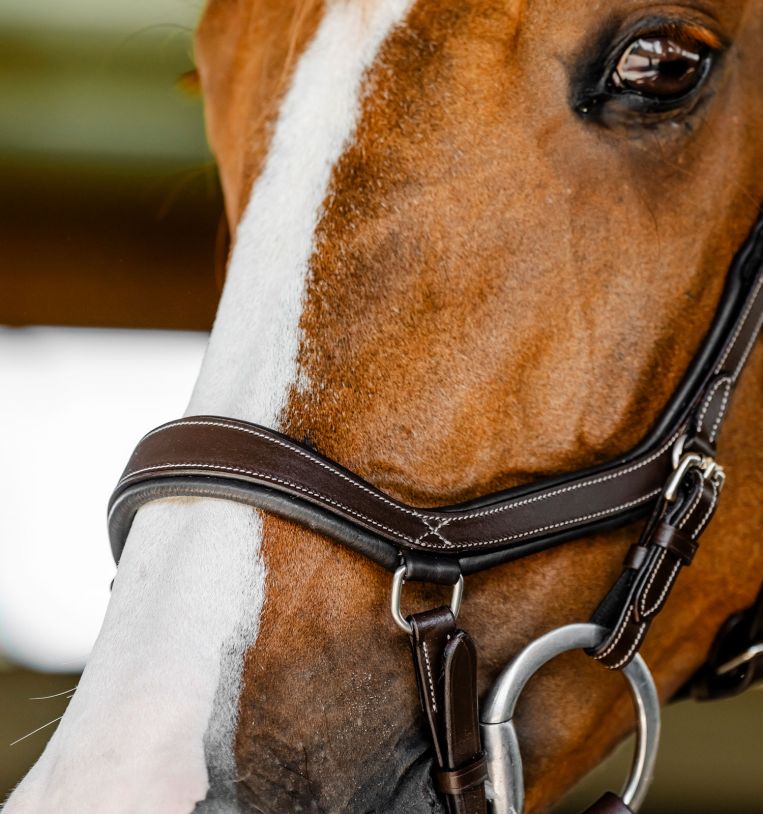 Horseware Rambo Competition Hoofdstel Trenshoofdstellen - Maddelin Equestrian HorseWare