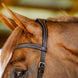 Horseware Rambo Competition Hoofdstel Trenshoofdstellen - Maddelin Equestrian HorseWare