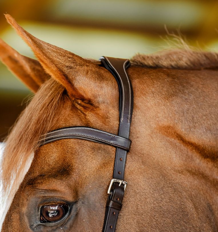 Horseware Rambo Competition Hoofdstel Trenshoofdstellen - Maddelin Equestrian HorseWare
