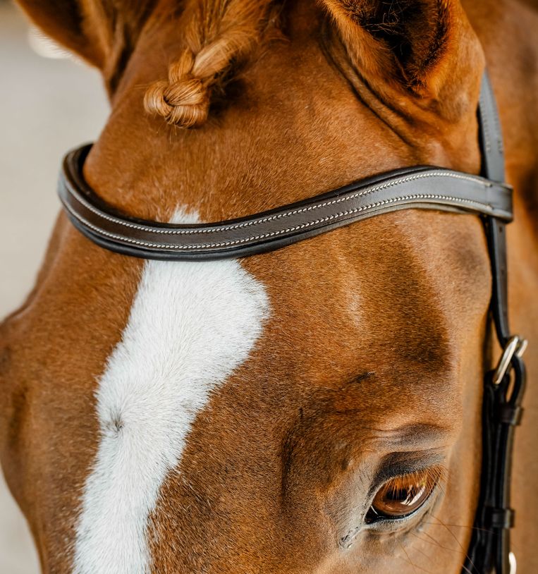 Horseware Rambo Competition Hoofdstel Trenshoofdstellen - Maddelin Equestrian HorseWare